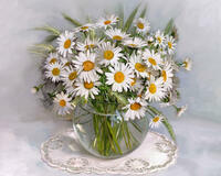 Без бренда «2KMA-0021» в Астрахане 