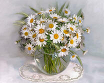 Без бренда «2KMA-0021» в Астрахане 