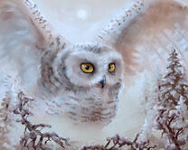 Без бренда «2KMB-3848» в Астрахане 