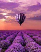 Без бренда «Фиолетовый воздушный шар над фиолетовым лавандовым полем» в Астрахане 
