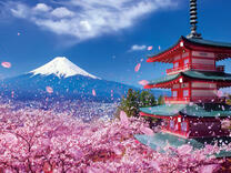 Без бренда «2KSB-7277» в Астрахане 