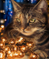 Без бренда «2KXSB-0678» в Астрахане 