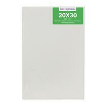 Без бренда «Коробка 80 шт.: Холст Две картинки на подрамнике 20X30» в Астрахане 