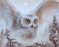 Без бренда «Полярная сова над лесом (20шт)» в Астрахане 