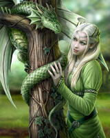 Без бренда «Коробка 20 шт: Дракон и эльф» в Астрахане 