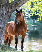 Без бренда «BOX20-2KMB-4594» в Астрахане 