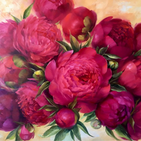 Без бренда «Бордовые пионы (20шт)» в Астрахане 