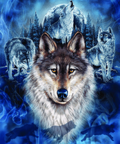 Без бренда «BOX40-2KXSB-0687» в Астрахане 