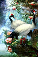 Без бренда «Журавли под персиковым деревом» в Астрахане в интернет-магазине Без бренда «Журавли под персиковым деревом» в Астрахане