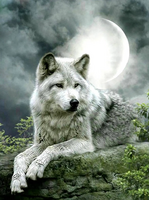 Без бренда «Коробка 25 шт. картин по номерам BOX25-GX21058» в Астрахане в интернет-магазине Без бренда «Коробка 25 шт. картин по номерам BOX25-GX21058» в Астрахане