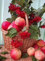 Без бренда «Коробка 25 шт. картин по номерам BOX25-GX5174» в Астрахане 