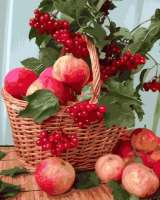 Без бренда «Плетёная корзина с калиной и яблоками» в Астрахане 