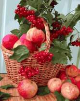 Без бренда «Плетёная корзина с калиной и яблоками» в Астрахане в интернет-магазине  Без бренда «Плетёная корзина с калиной и яблоками» в Астрахане