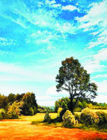 Без бренда «Осенний пейзаж с голубым небом» в Астрахане 