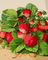 Яркая и сочная клубника