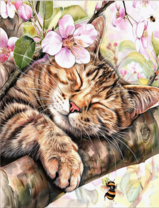 Без бренда «Волосатый котик спит на ветви яблони» в Астрахане в интернет-магазине  Без бренда «Волосатый котик спит на ветви яблони» в Астрахане